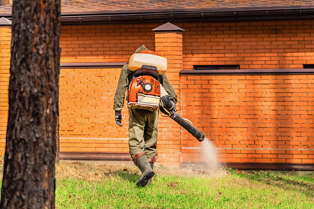 Trusted Cockroach Control service in Pulaski, TN - Nex Pest Control